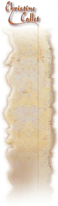 Chriscolor, Christine Collet artiste-peintre